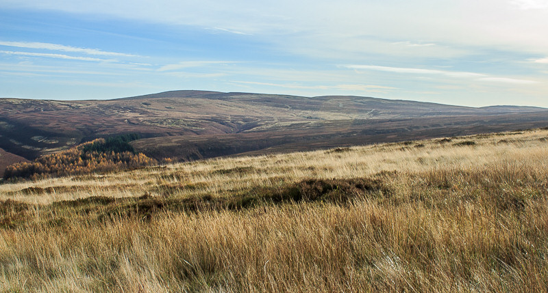 Axe Edge Moor Axe Edge Moor